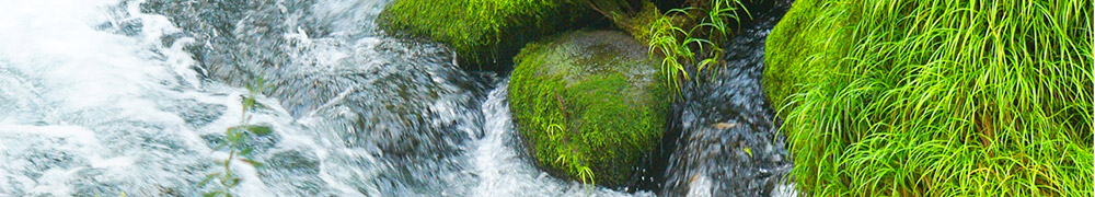 北海道の地酒・名酒