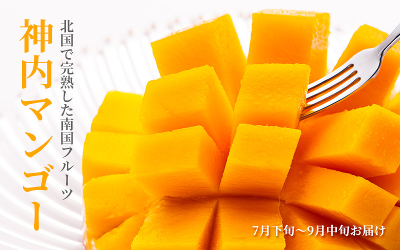 北海道産神内マンゴー