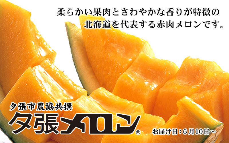 夕張市農協直送夕張メロン
