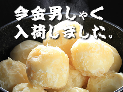 今金男しゃく入荷